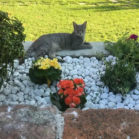I Tre Tramonti Casa vacanze